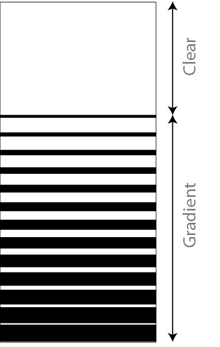 Gradient 12